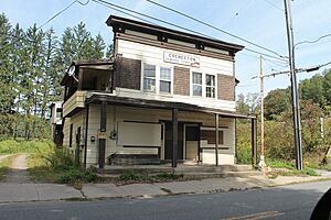 Reilly's Store, Cochecton, NY