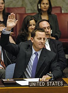 Richard Grenell voting at a UN Security Council meeting
