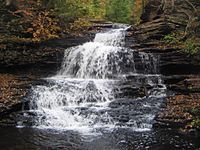 alt text = Water cascades over many thin layers of rock; the falls is much wider at the base than the top. It is autumn and bright yellow leaves appear in the trees over the falls. Fallen leaves are visible on the rocks.