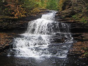 Ricketts Glen State Park Onondaga Falls 4