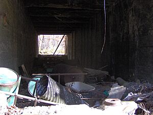 Ritter-mill-hazel-creek