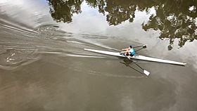 Rowing 305598
