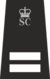 SInsp with Crown.svg