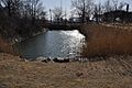 SalemMA FortPickering Moat