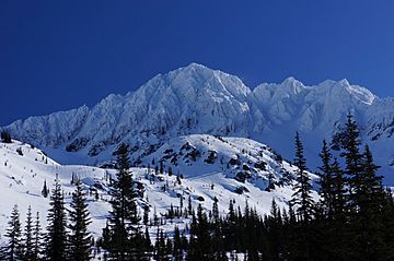 Snowgrass Mountain.jpg
