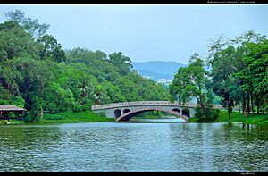 South China Botanical Garden 2009 1