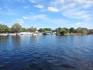 St. Johns River at Astor, Florida 001