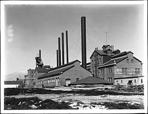 Sugar factory in Chino, California, ca.1906 (CHS-1663)