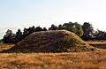 Sutton Hoo Burial Mound cleaned