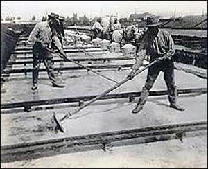 Syracuse 1900 salt-workers