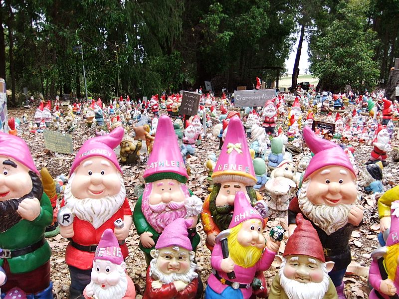 The Gnomes of GnomeVille