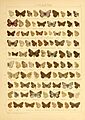 The Macrolepidoptera of the world (Taf. 79) (8145271295)