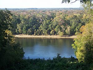 Torreya Park Bluffs01