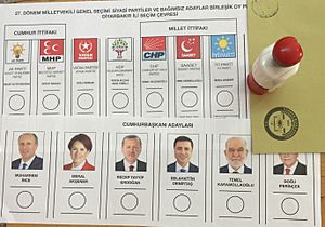 Turkey 2018 elections, ballots 2