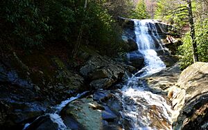 Upper Creek-27527-4
