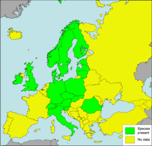 Vertigo-geyeri Presence in European countries