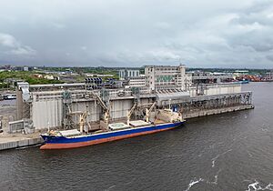 Viterra Montreal Grain Terminal