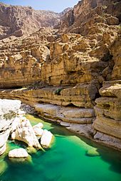 Wadi Shab (6)