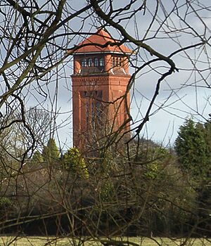 Water Tower 19 365 (39747552882) (crop)