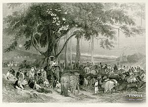 "Runjeet Singh (Ranjit Singh) and his Suwarree, or Cavalcade, of Seiks (Sikhs) Encamped under a Banyan Tree on the River Sutlej," a steel engraving by Fisher and Son, London, 1837, based on a drawing made in 1831