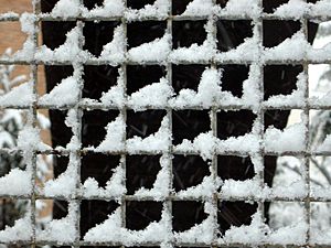 Grid Facts for Kids