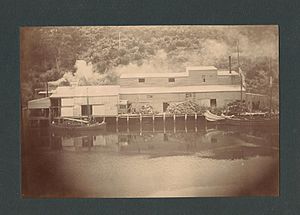 1912 Russell Family Bone Mill Shag Bay Tasmania - panoramio