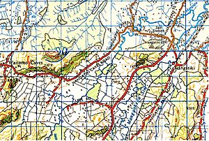 1955 (north), 1971 (south) one inch to one mile map Hangatiki - Waitomo