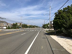 2018-10-04 12 25 51 View north along Ocean County Route 607 (Central Avenue) between 29th Street and 28th Street in Barnegat Light, Ocean County, New Jersey