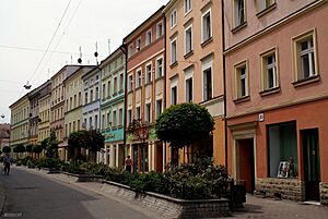 2402viki Złotoryja. Foto Barbara Maliszewska