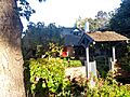 953 St Patrick St, Victoria, BC, Canada
