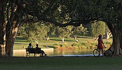 Afternoon light Centennial Park 005