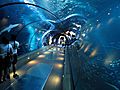Aquarium tunnel