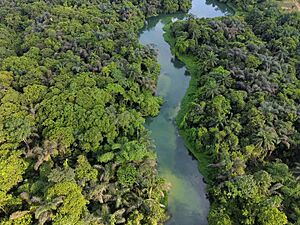 Azumini Blue River in Abia state, Nigeria