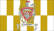 Bandera del Municipio de Chihuahua 2006-Presente