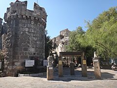 Bodrum, Muğla Province, Turkey - panoramio (12)