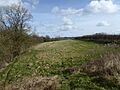 Bosworth Mill Meadow 1