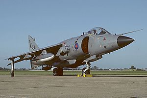British Aerospace Sea Harrier FRS1, UK - Navy AN1377696.jpg