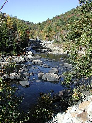 BuckhannonRiverMouth