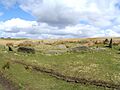 Carn Llechart - geograph.org.uk - 148935