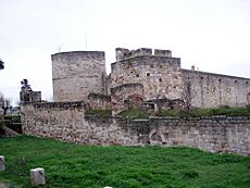Castillodezamora