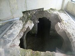 Catedral de la Asunción de Ceuta (11)