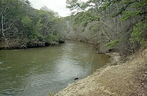 Chunky River