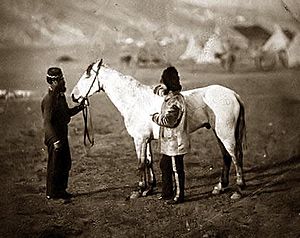 Colonel Clark with horse wounded at Balaclava (c 1855)