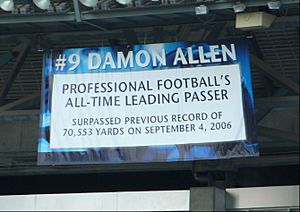 Damon Allen banner