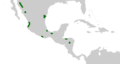 Dioon Distribution