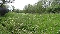 Down Barns Moated Site 2