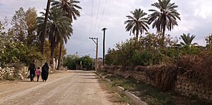 Dozeh Town (Douzeh), شهر تمیز و زیبای دوزه - panoramio