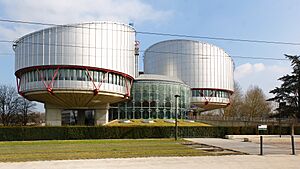 European Court of Human Rights