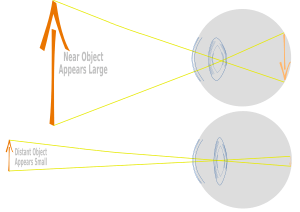 Eye and ray path3