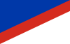Flag of Concepción